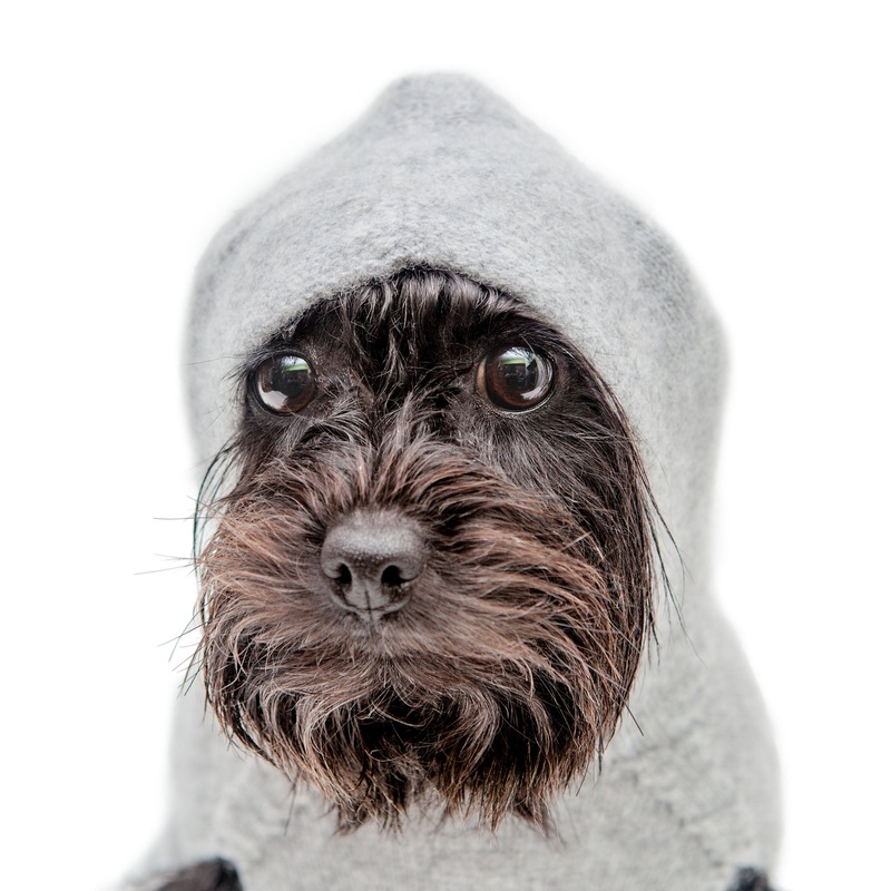 The Marmalady Cashmere Dog Hoodie in Brume Grey (Made in the USA)