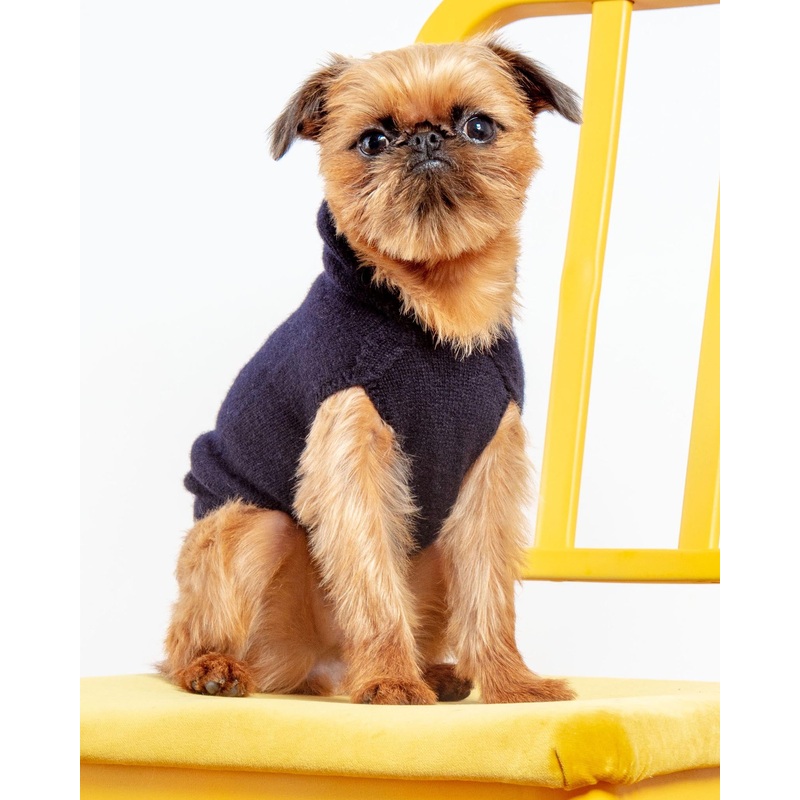 The Marmalady Cashmere Dog Hoodie in Midnight (Made in NYC) (FINAL SALE)