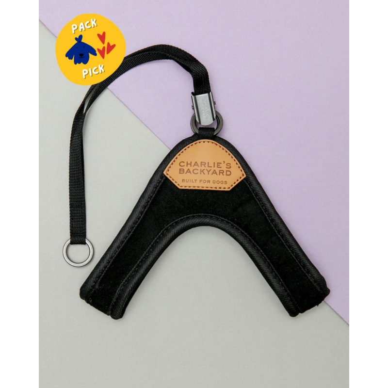 Adjustable Easy Dog Harness in Black
