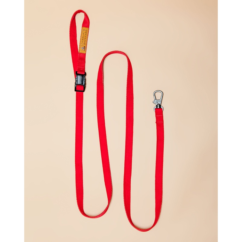 Adjustable Easy Dog Leash in Red
