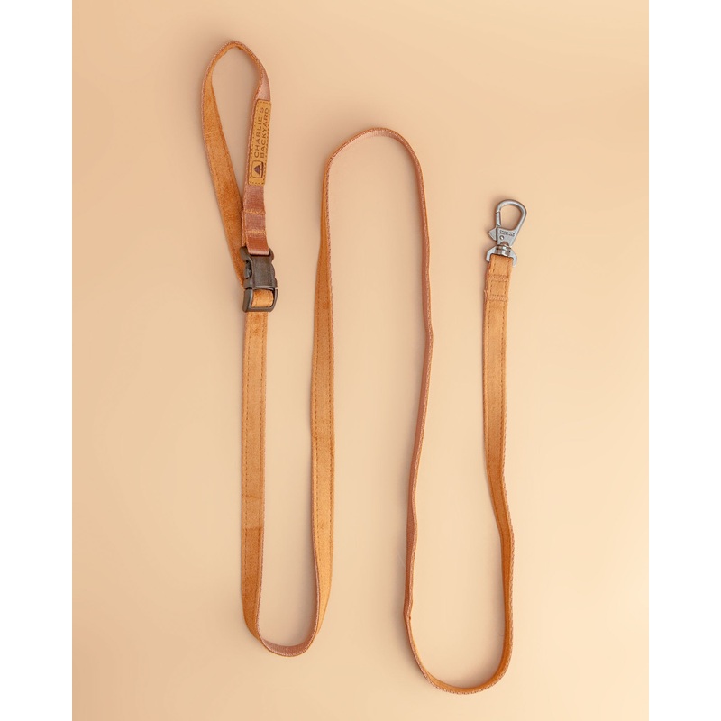 Adjustable Easy Dog Leash in Tan