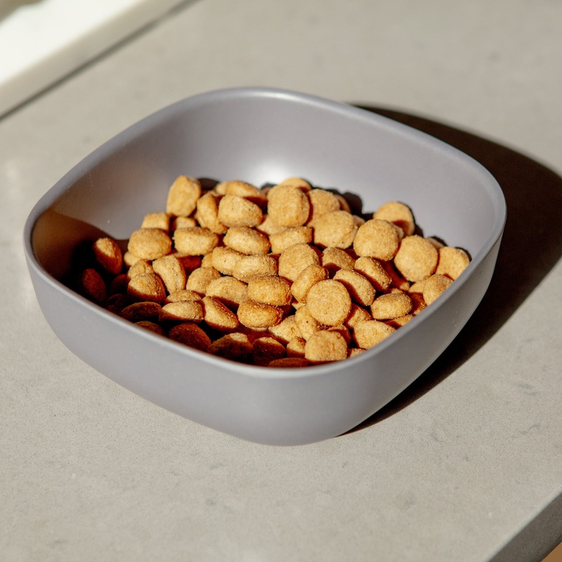 Biobu Gusto Dog Bowl in Smoke|Small|Large
