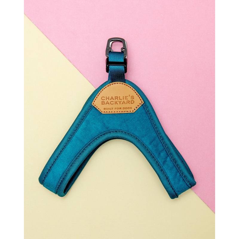 Buckle Up Easy Dog Harness in Teal