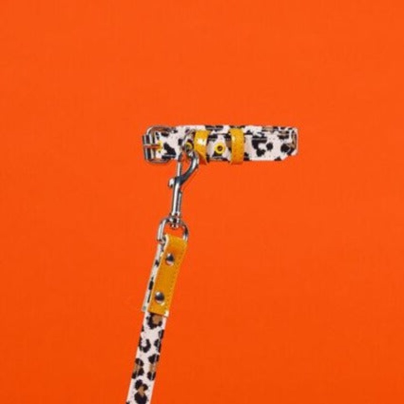 Leopard and Stripe Collar|XS|S|M|L
