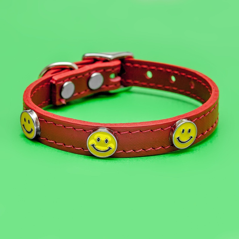 Happy Face Leather Collar in Red