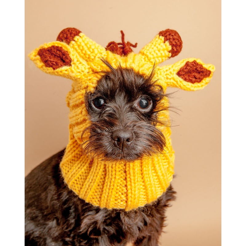 Knit Giraffe Dog Snood (FINAL SALE)