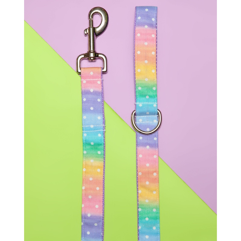 Pastel Rainbow Ombre Dot Print Dog Leash (FINAL SALE)