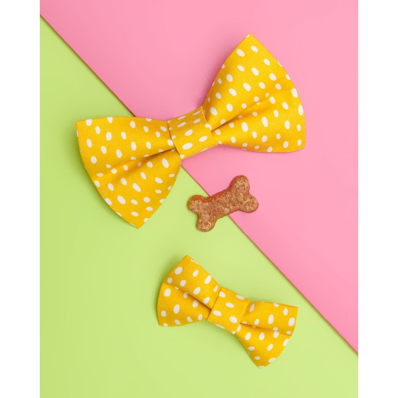 The Always Sunny In Pickle-delphia Bow Tie