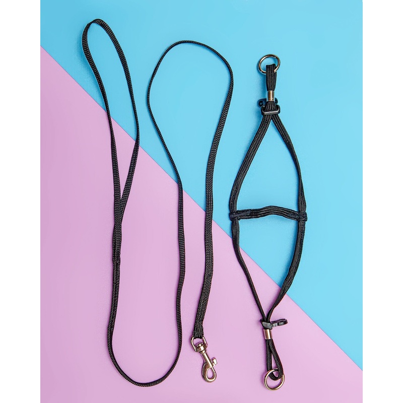Tiny Dog Step-In Harness + Lead in Black