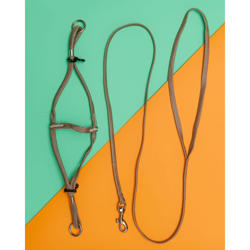 Tiny Dog Step-In Harness + Lead in Tan
