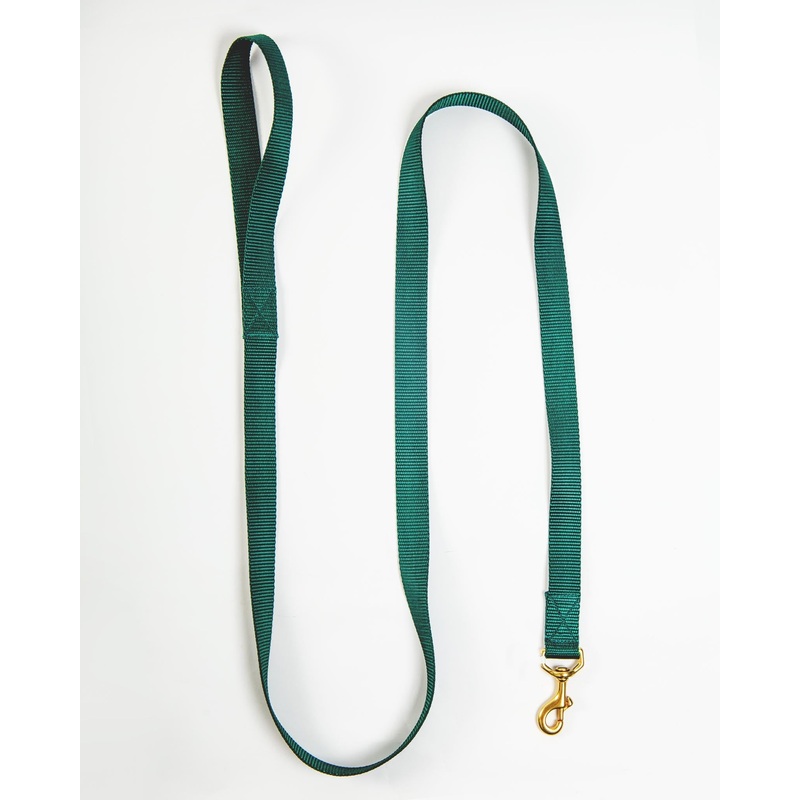 Basic Nylon Dog Leash in Evergreen (Made in the USA)