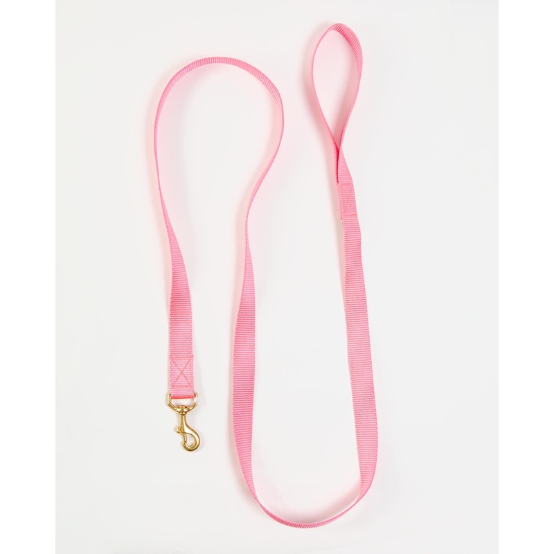 Basic Nylon Dog Leash in Pink (Made in the USA)