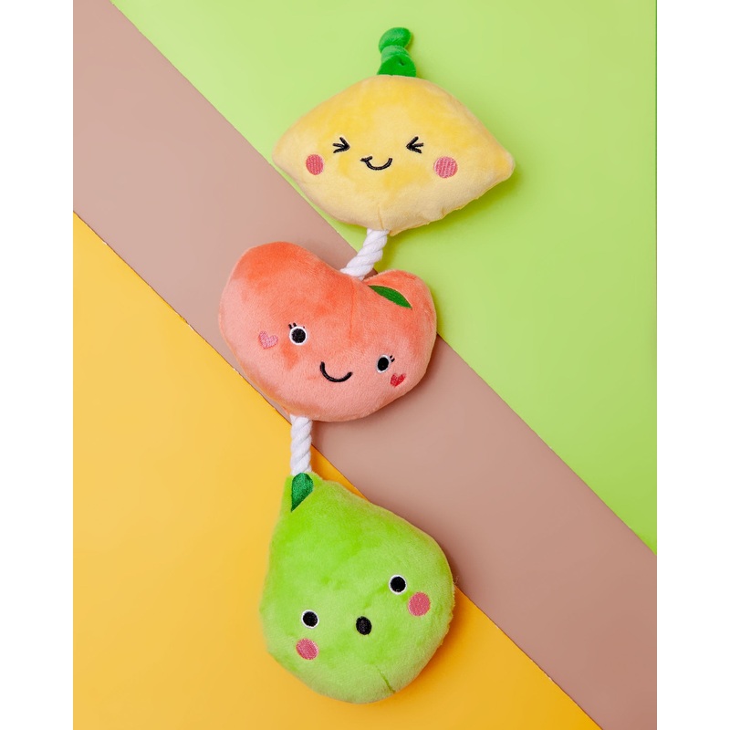 Fruit-on-a-Rope Dog Toy