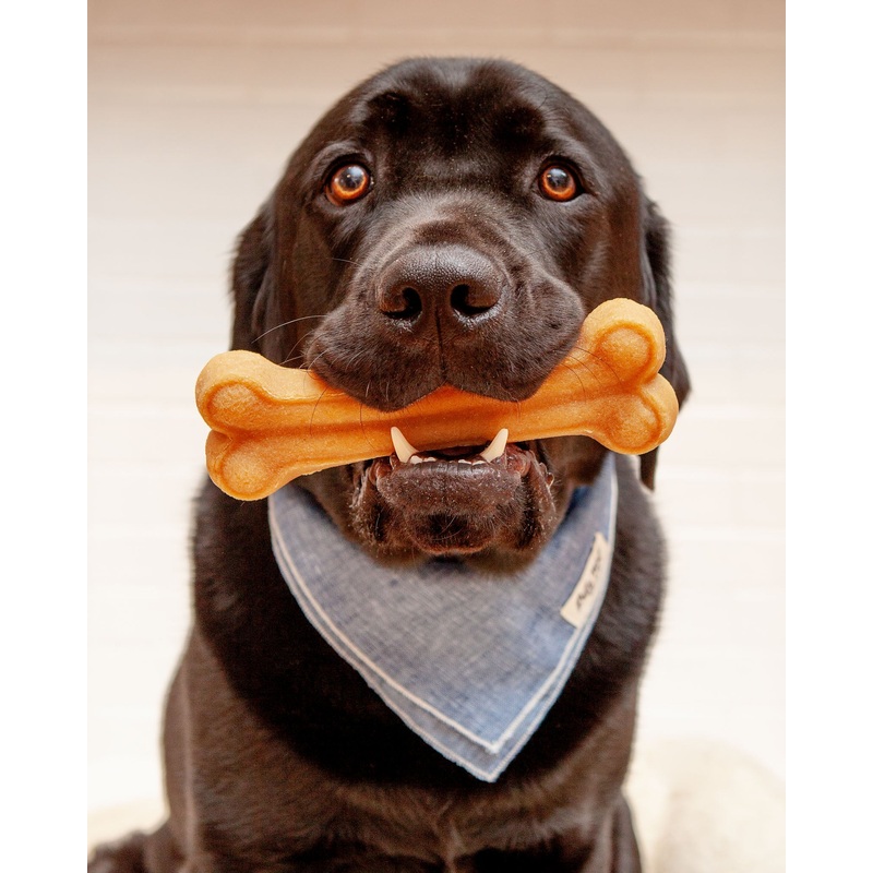 Himalayan Dog Chew Bone|Small|Medium|Large