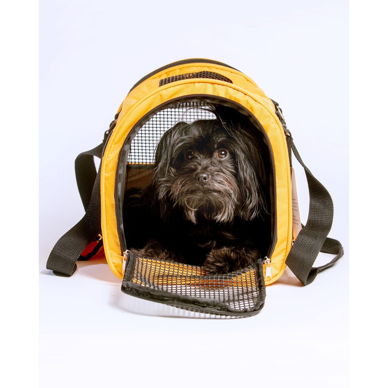 Jet Carrier Pet Carrier in Tangerine (Airline Approved)
