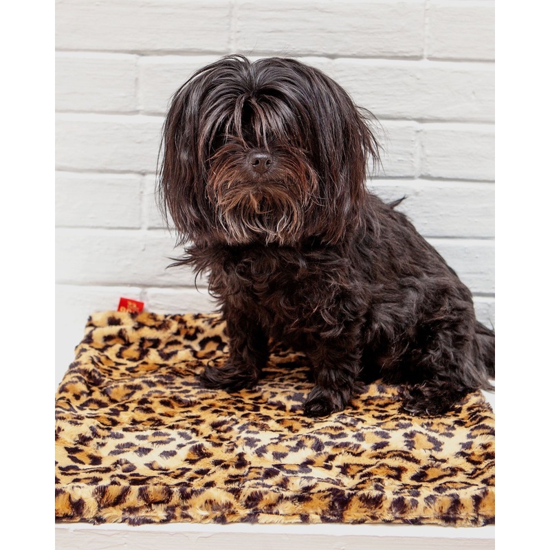 Plush Dog Blanket in Sand Leopard