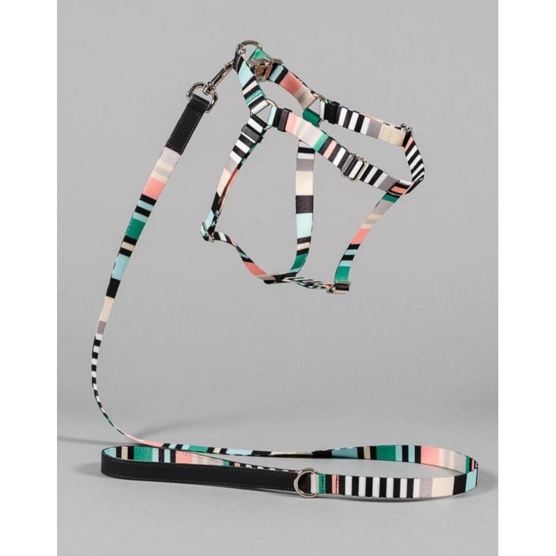 Webbing Nylon Dog Harness in Green Stripe (Made in the USA) (CLEARANCE)