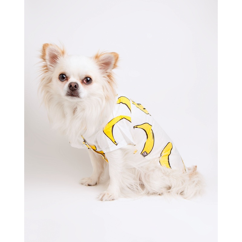 Banana Button Down Dog Shirt (FINAL SALE)