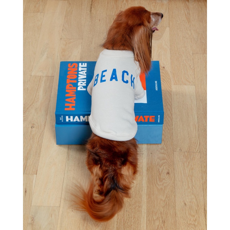 BEACH Dog Sweatshirt|X-Small|Small|Medium|Large|X-Large