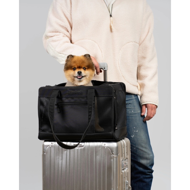 City to Sky Pet Travel Carrier