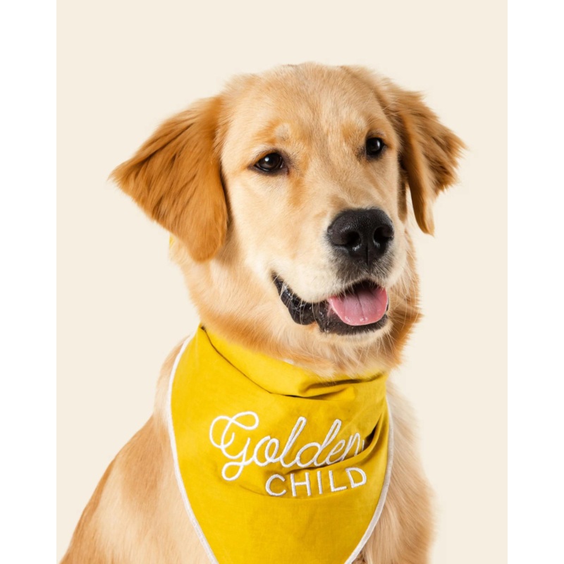 Golden Child Dog Bandana