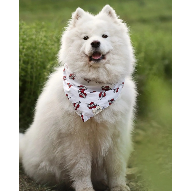 Love DAD Dog Bandana|Small|Medium|Large
