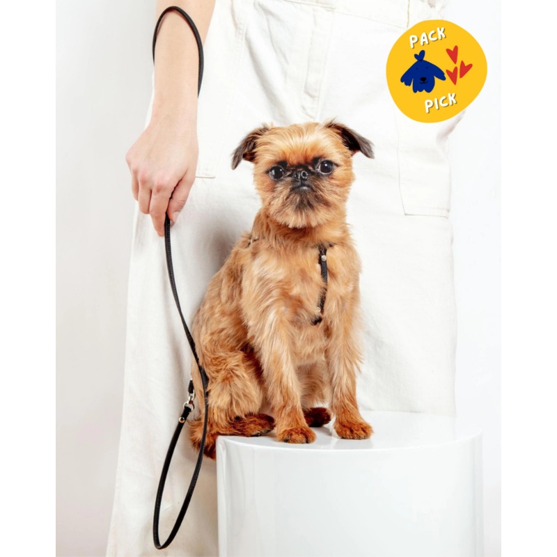 Nylon Step-In Adjustable Dog Harness in Black (Made in the USA)
