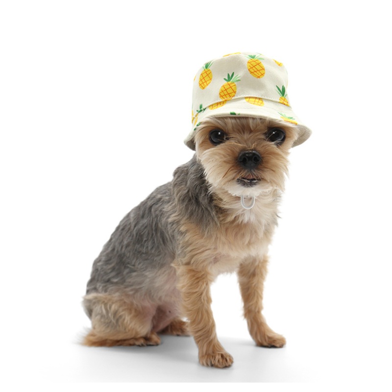 Pineapple Bucket Hat for Dogs|X-Small|Small|Medium|Large|X-Large