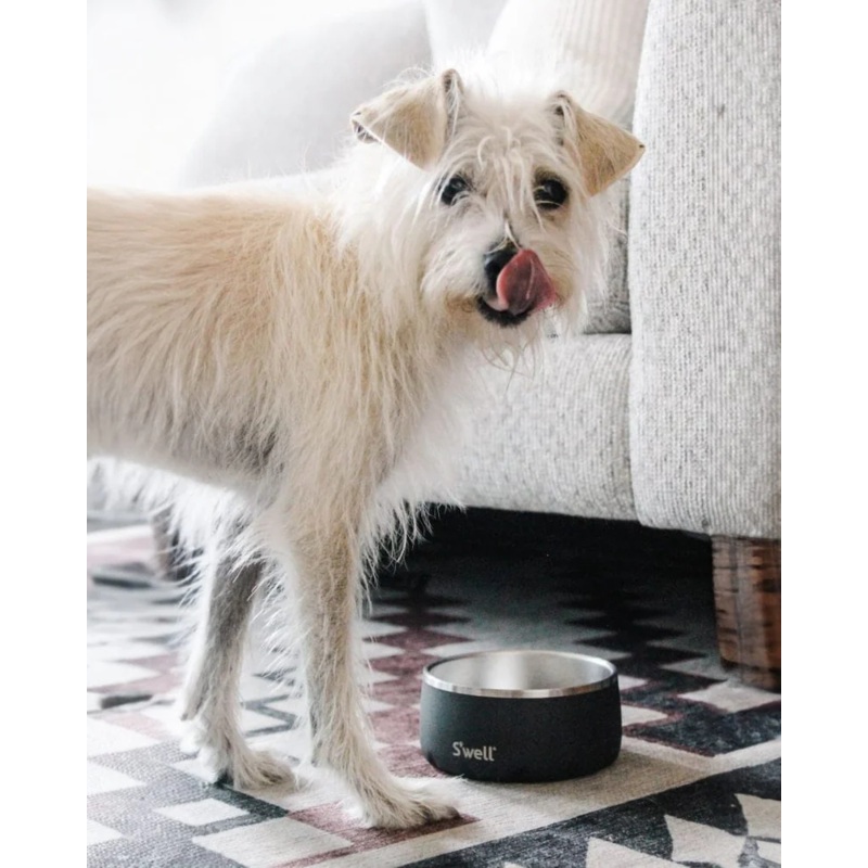 Stainless Steel Dog Bowl in Onyx