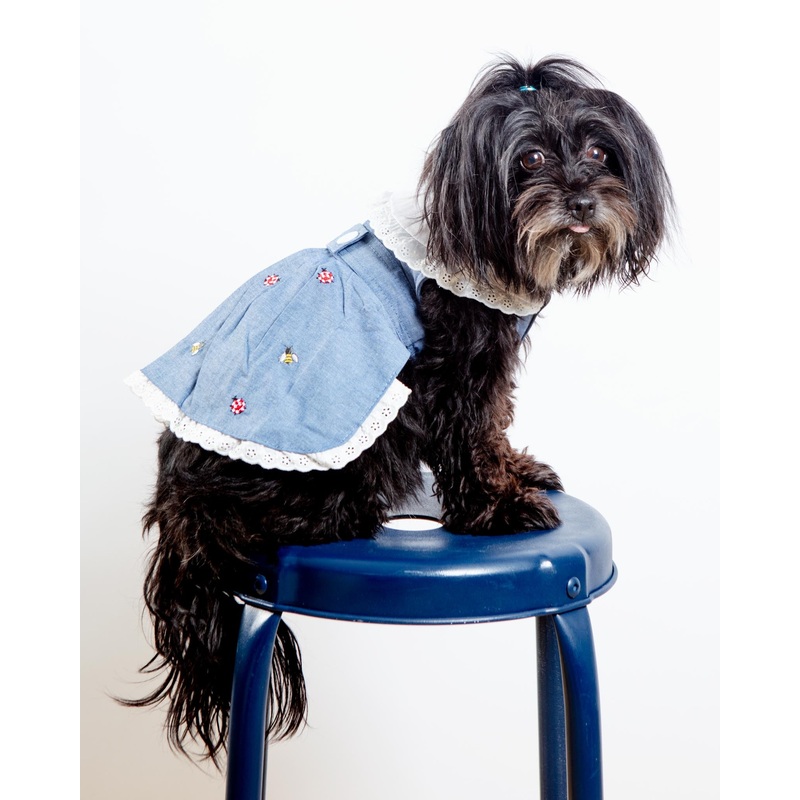 The Bugs + The Bees Chambray Dog Dress (FINAL SALE)