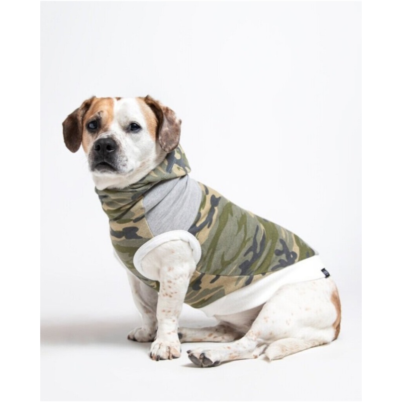 The Cadet Cotton Camo Hoodie for Long Dogs (Made in the USA) << FINAL SALE >>