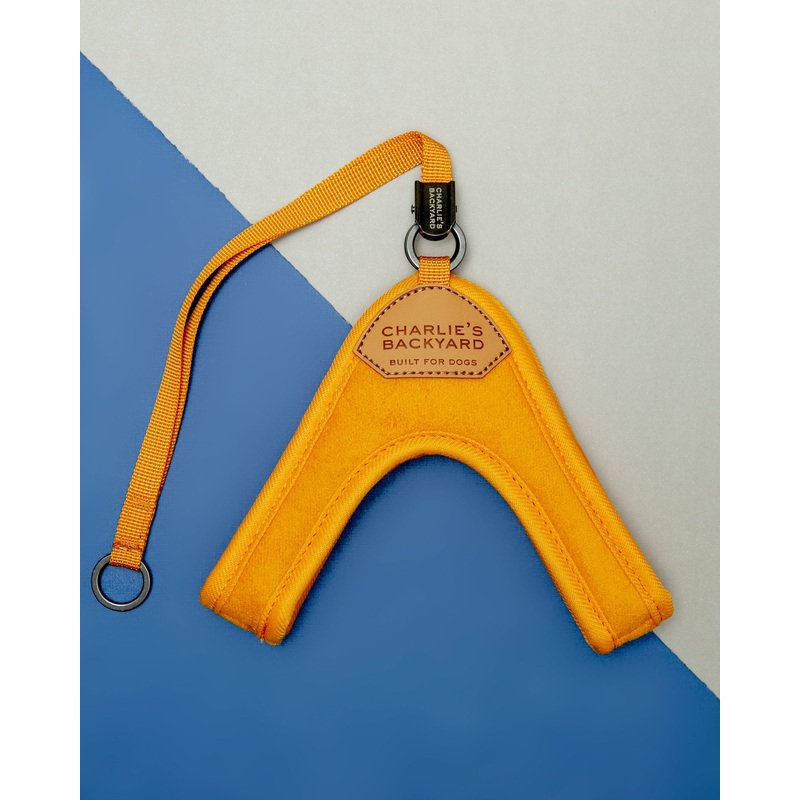 Adjustable Easy Dog Harness in Yellow (Dog & Co. X Charlie’s Backyard Exclusive)