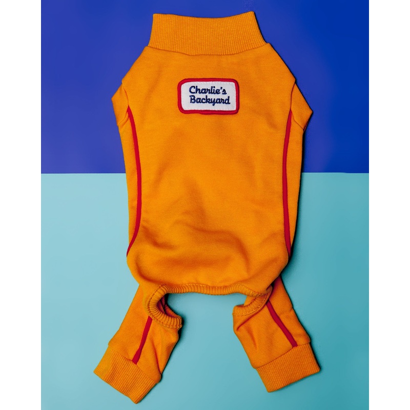 Bruce Warmer Dog Onesie in Yellow << FINAL SALE >>