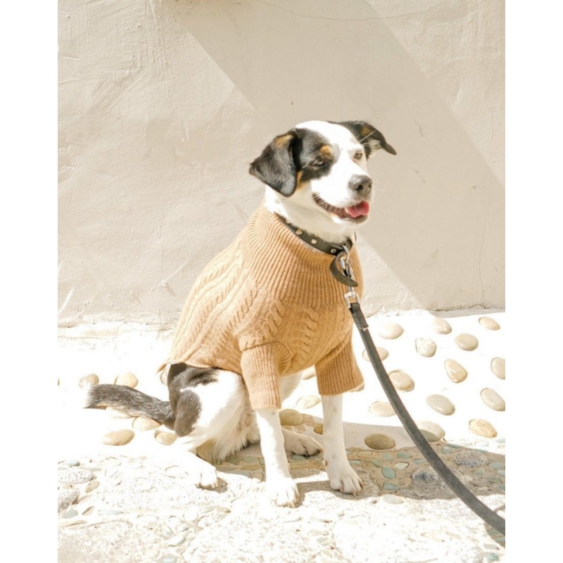 Cashmere Cableknit Sweater in Sand >>>FINAL SALE<<<