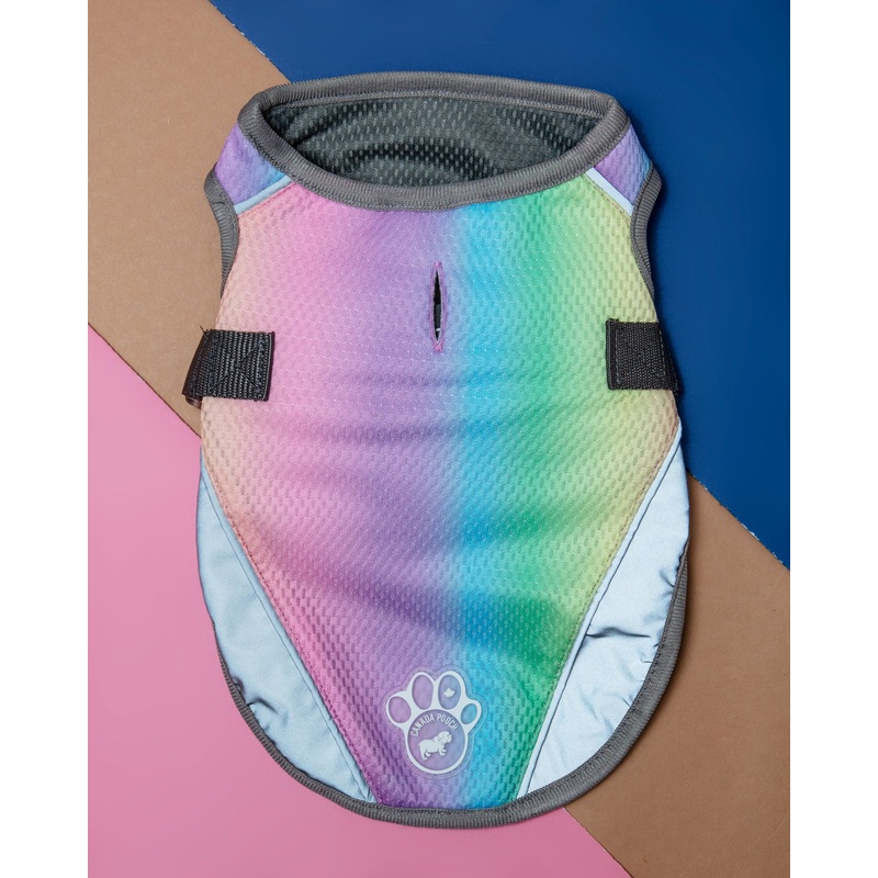 Chill Seeker Cooling Dog Vest in Rainbow << CLEARANCE >>