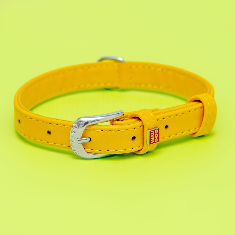 Golden Sunshine Leather Dog Collar << FINAL SALE >>