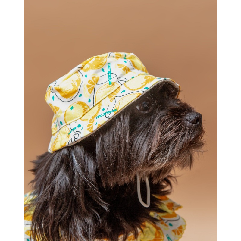 Lemonade Bucket Hat for Dogs << FINAL SALE >>