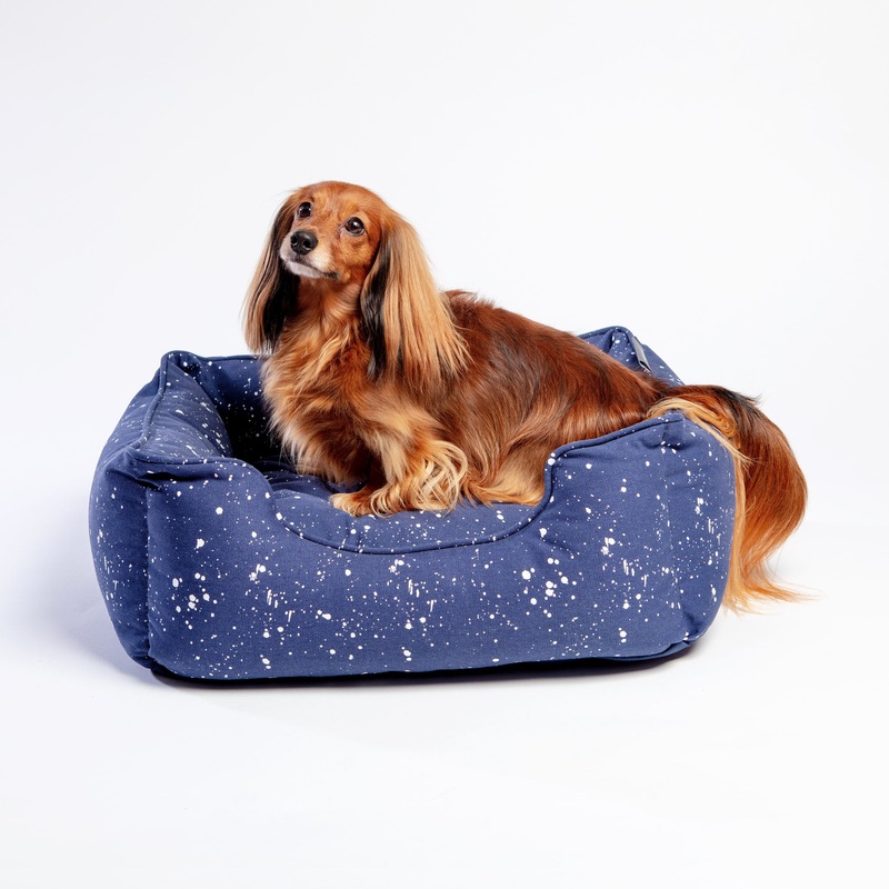 Orthopedic Pet Bed in Speckle Splatter