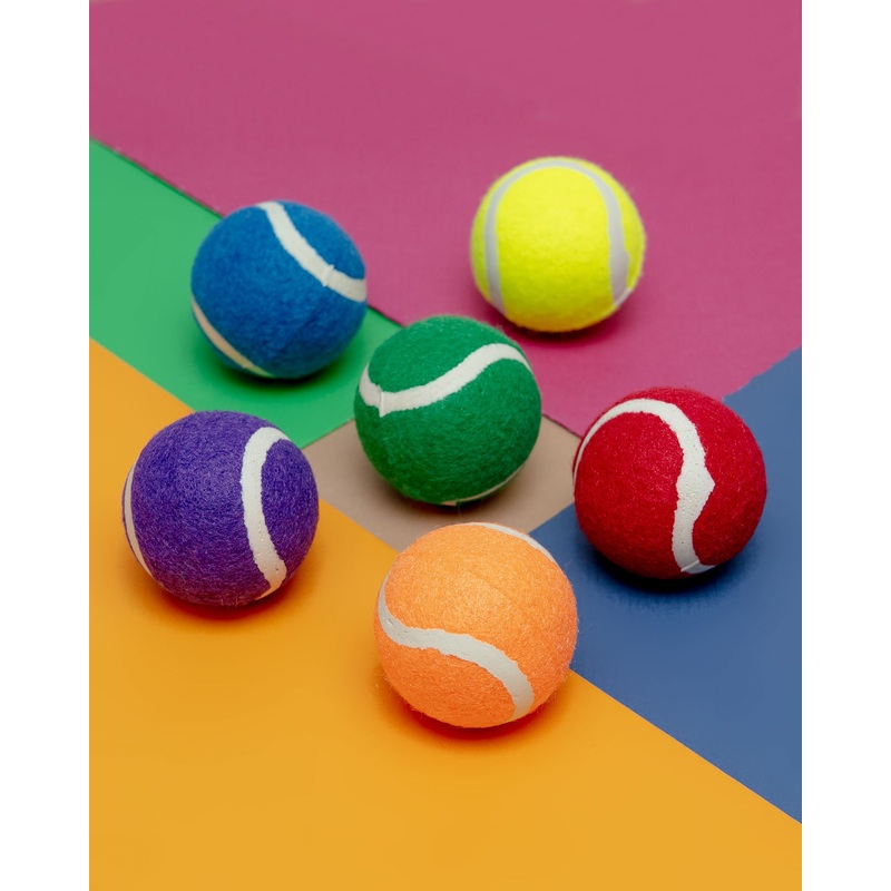 Puppy Pride Tennis Balls – (Set of 6)