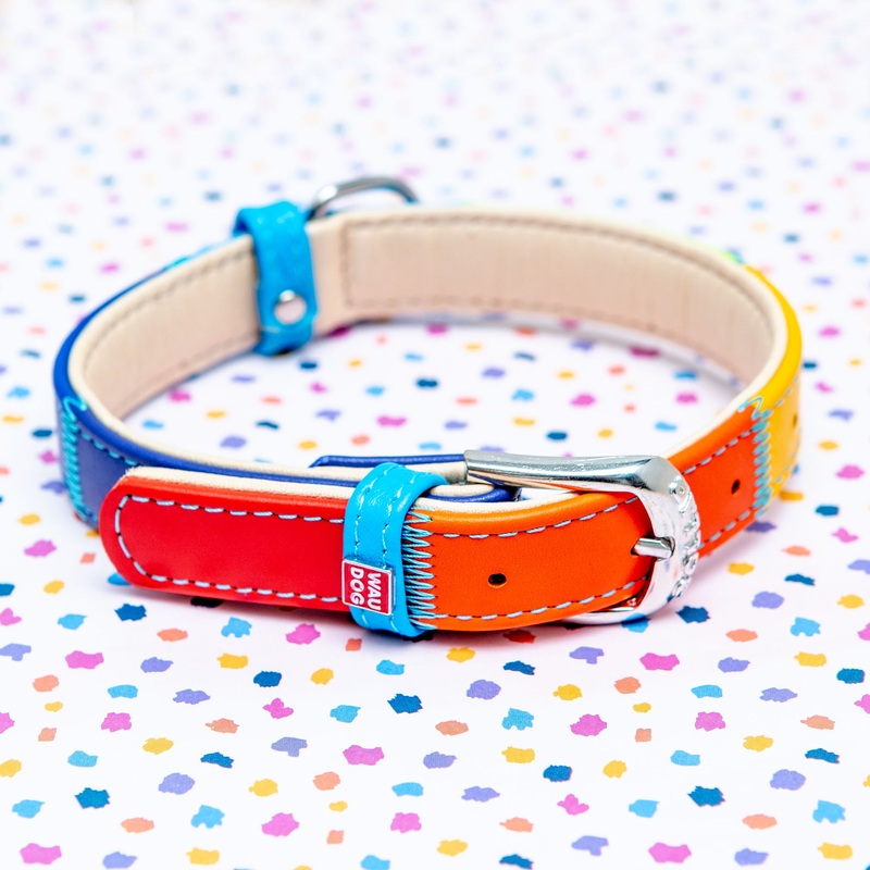Rainbow Leather Dog Collar << FINAL SALE >>