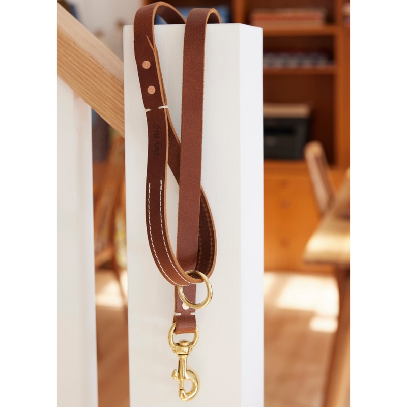 Rambler Standard Dog Leash in Terra
