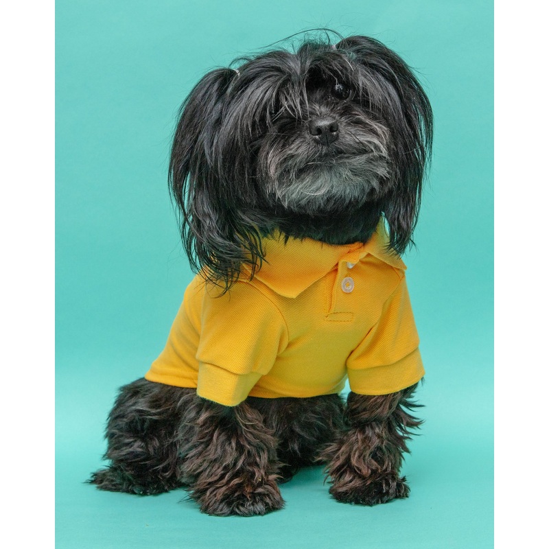 Ray of Sunshine Doggie Polo Shirt << FINAL SALE >>