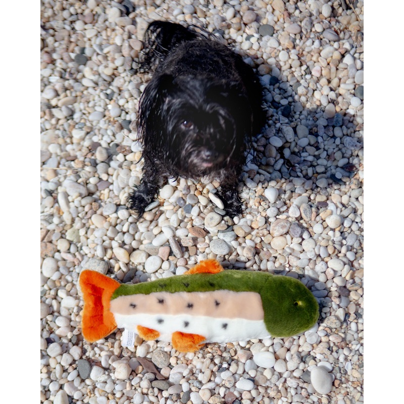 Ruby the Rainbow Trout Plush Dog Toy