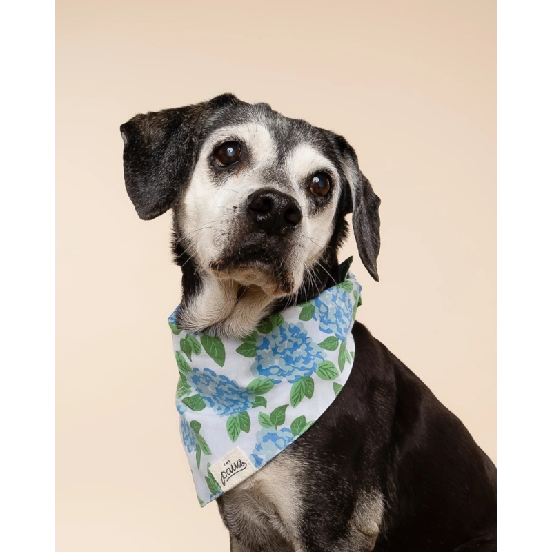Sconset Floral Dog Bandana (FINAL SALE)