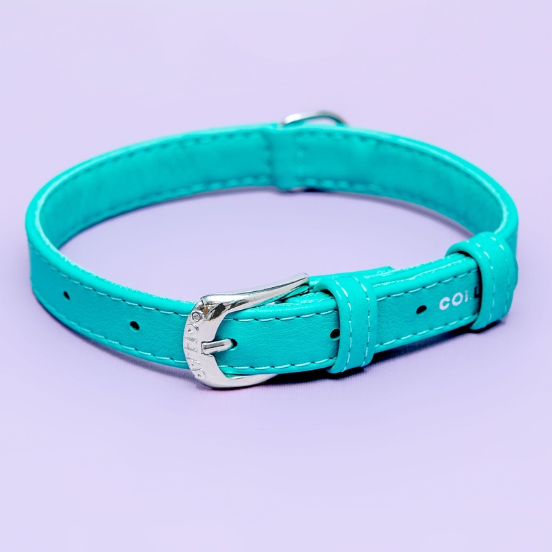 Spearmint Leather Dog Collar << CLEARANCE >>