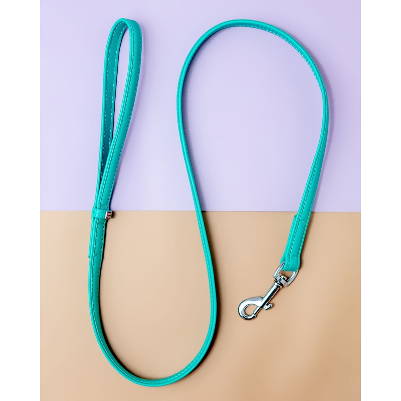 Spearmint Leather Dog Leash << CLEARANCE >>