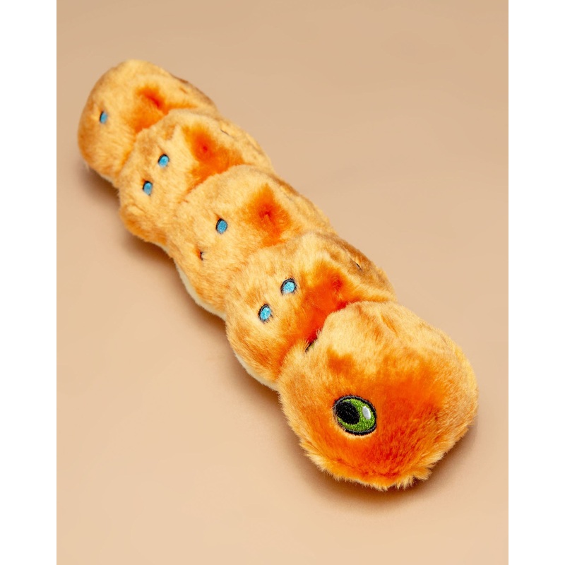 Spicy Caterpillar Plush Dog Toy