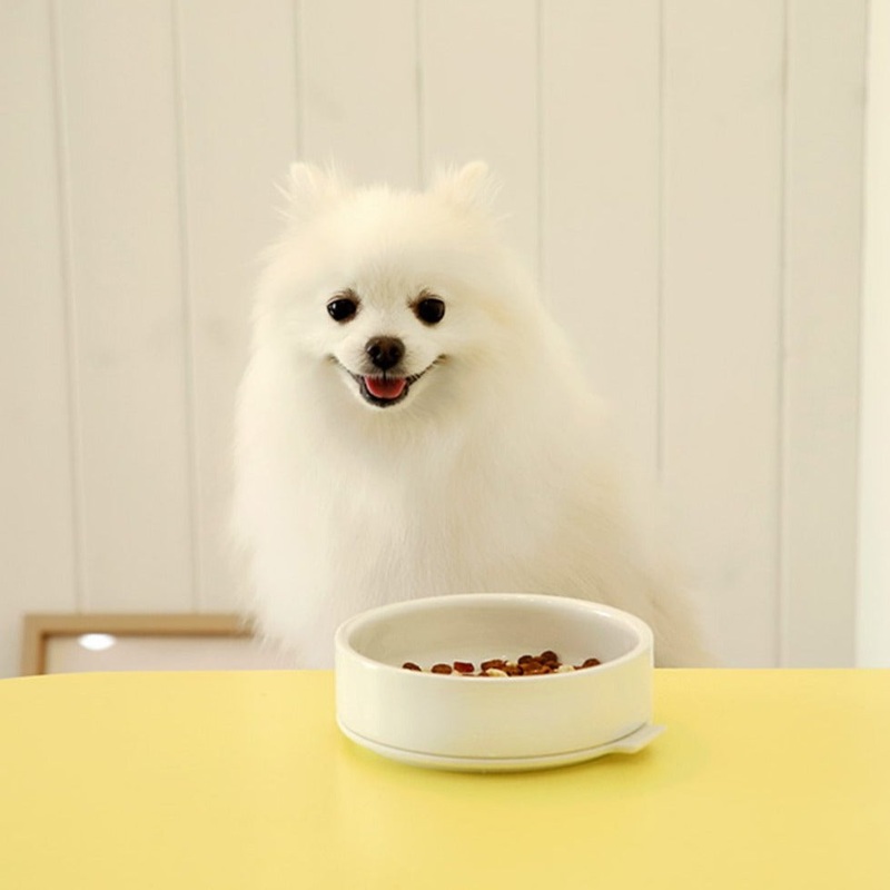 Ceramic & Silicone Pudding Dog Bowl in White (FINAL SALE)