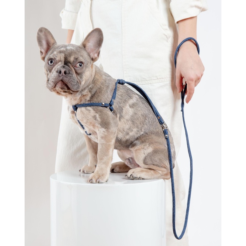 Denim Step-In Adjustable Dog Harness (Made in the USA)