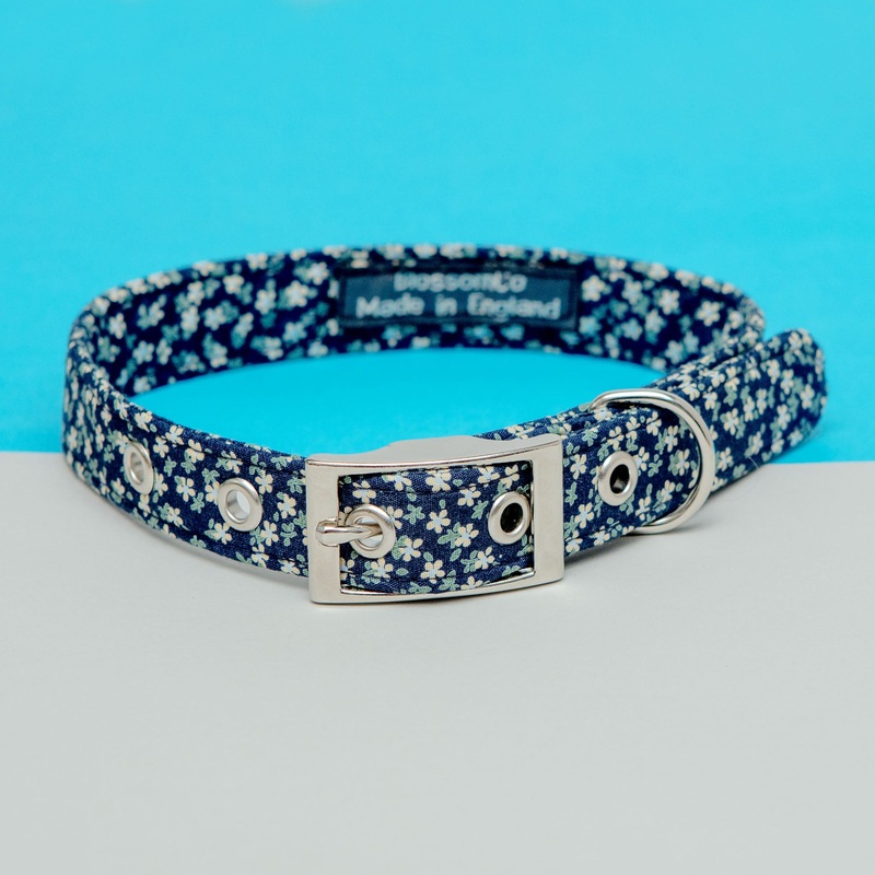 Dorothy Floral Dog Collar (FINAL SALE)